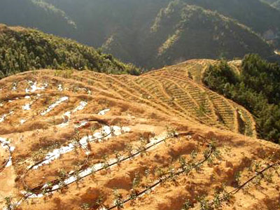 各種節(jié)水灌溉技術(shù)介紹_山東華維節(jié)水