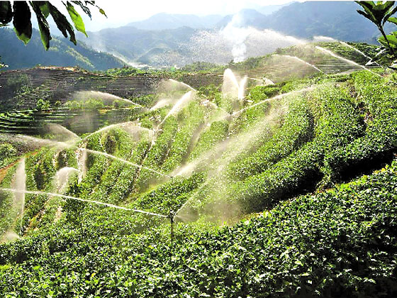 山嶺噴灌